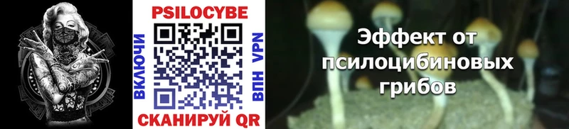 Галлюциногенные грибы MAGIC MUSHROOMS Купить Макушино